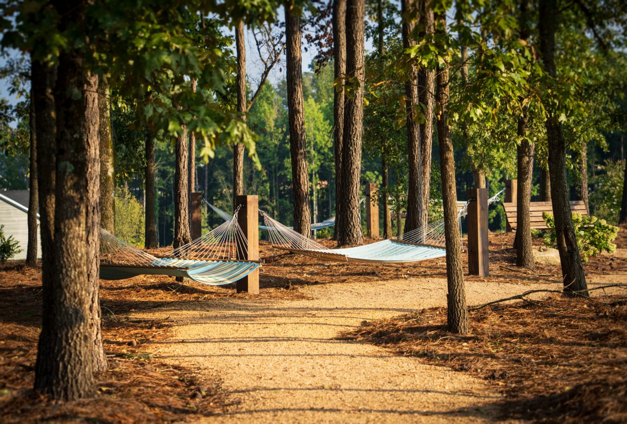hammock zone